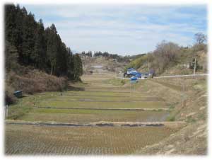 中山間地形をうまく利用した棚田